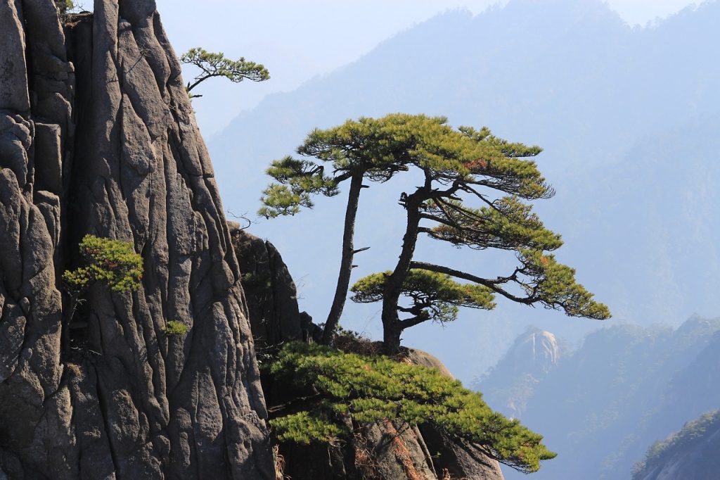 Reisgids naar de Natuur in China