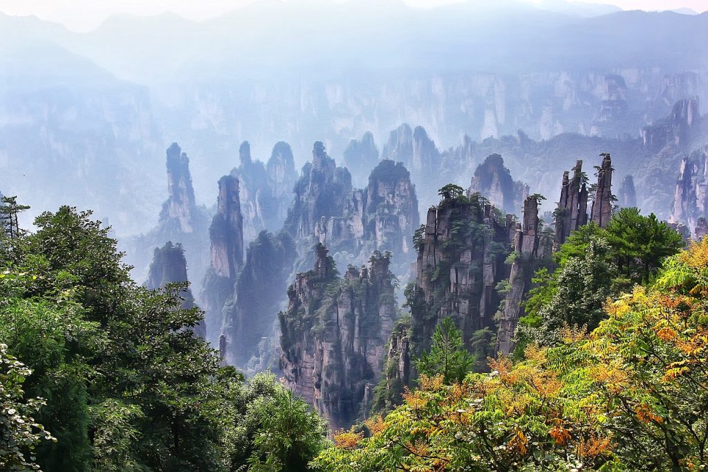 Reisgids naar de Natuur in China